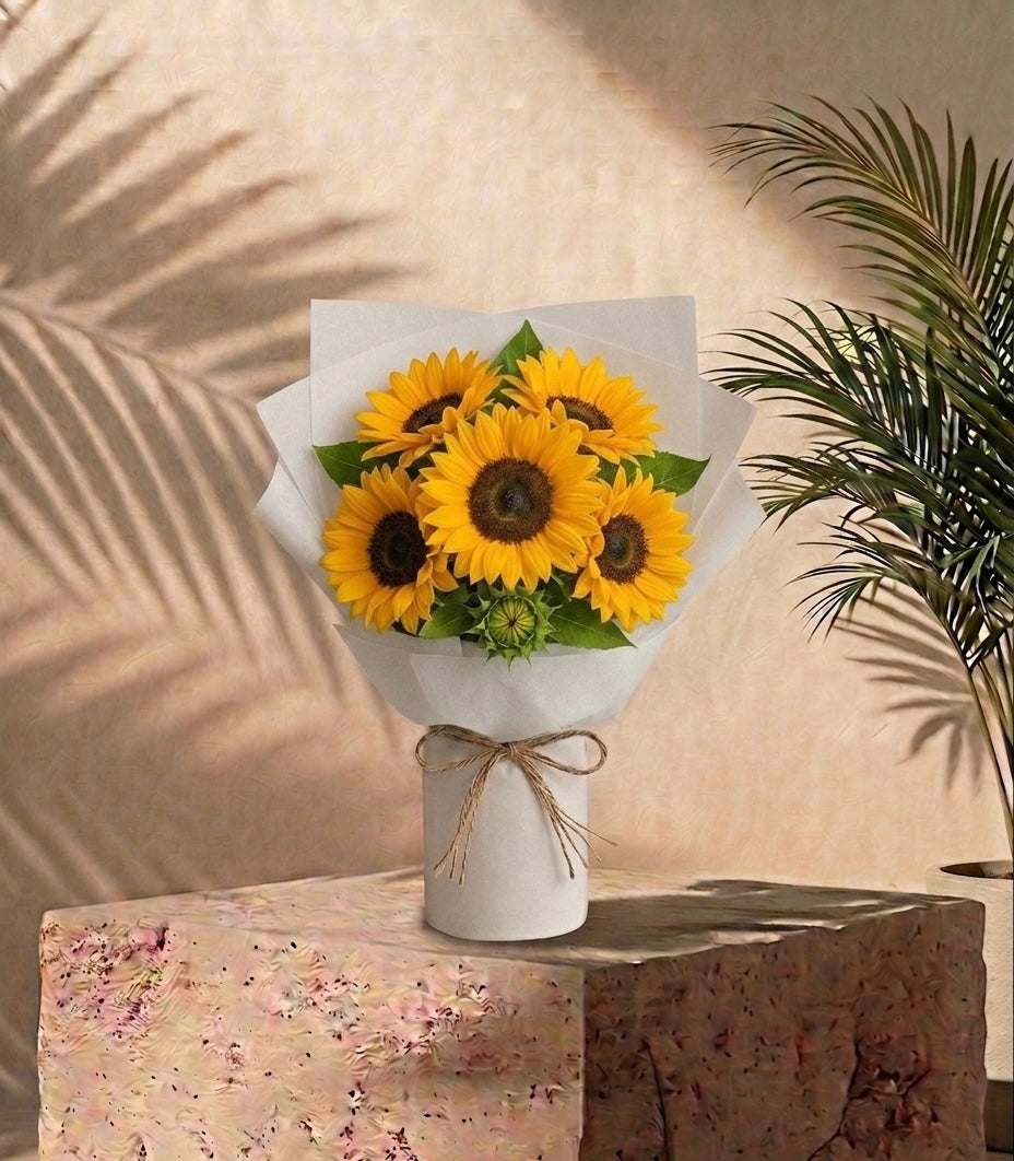 باقة شمس