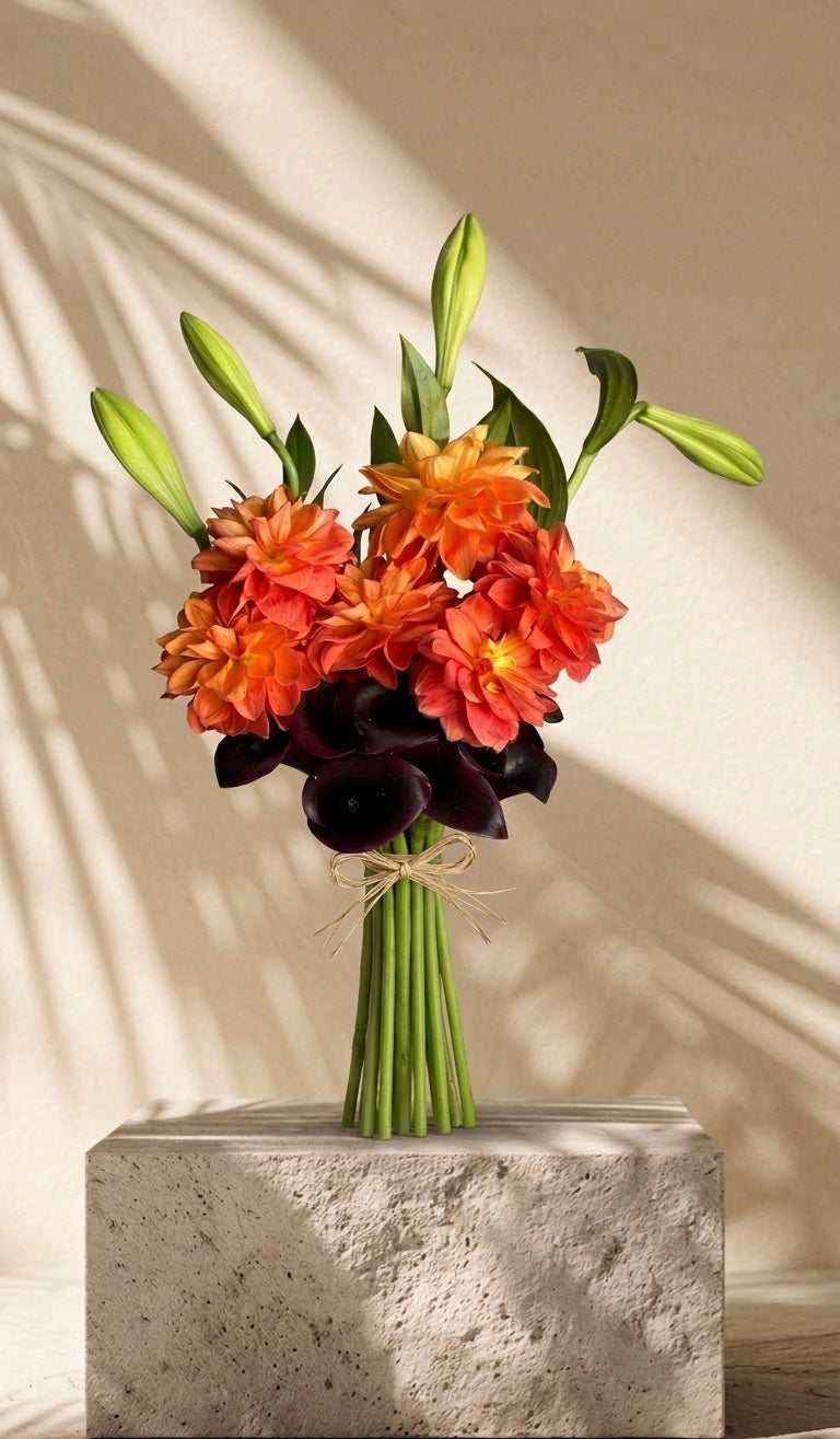 باقة غسق