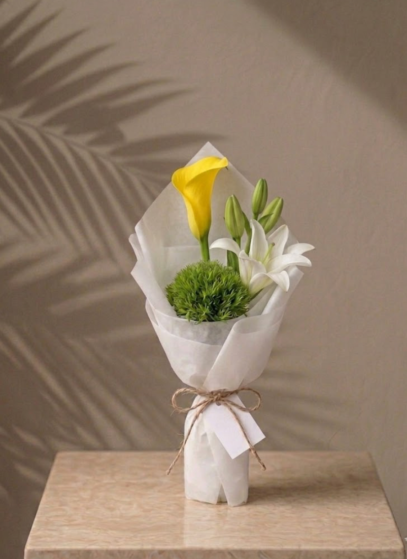 توزيعات شروق